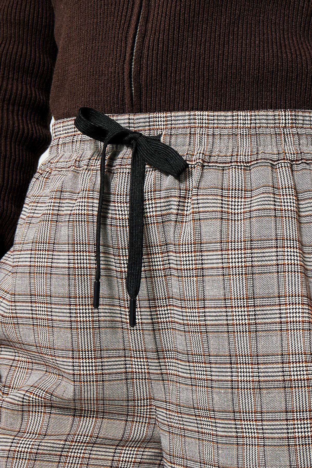 Polly image number 3