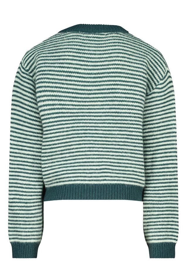 Kelly jr image number 5