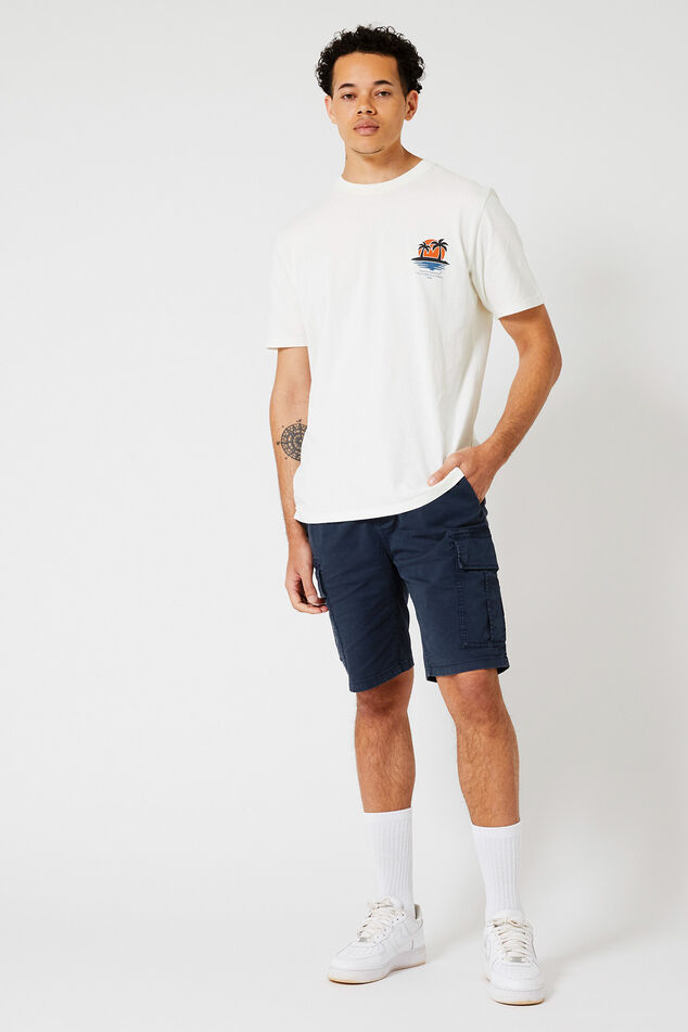 Eagle image number 1