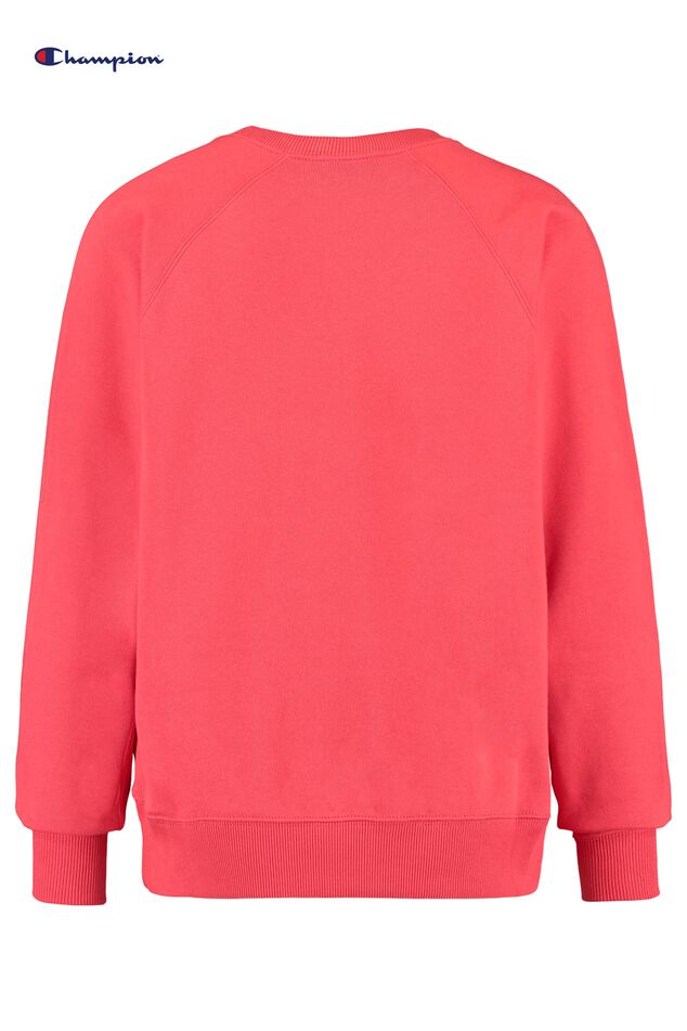 Sweater Crewneck Sweatshirt image number 1