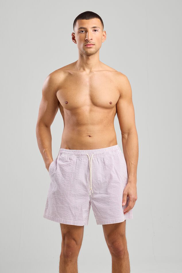 Swim trunks Andrew Stripe image number 1