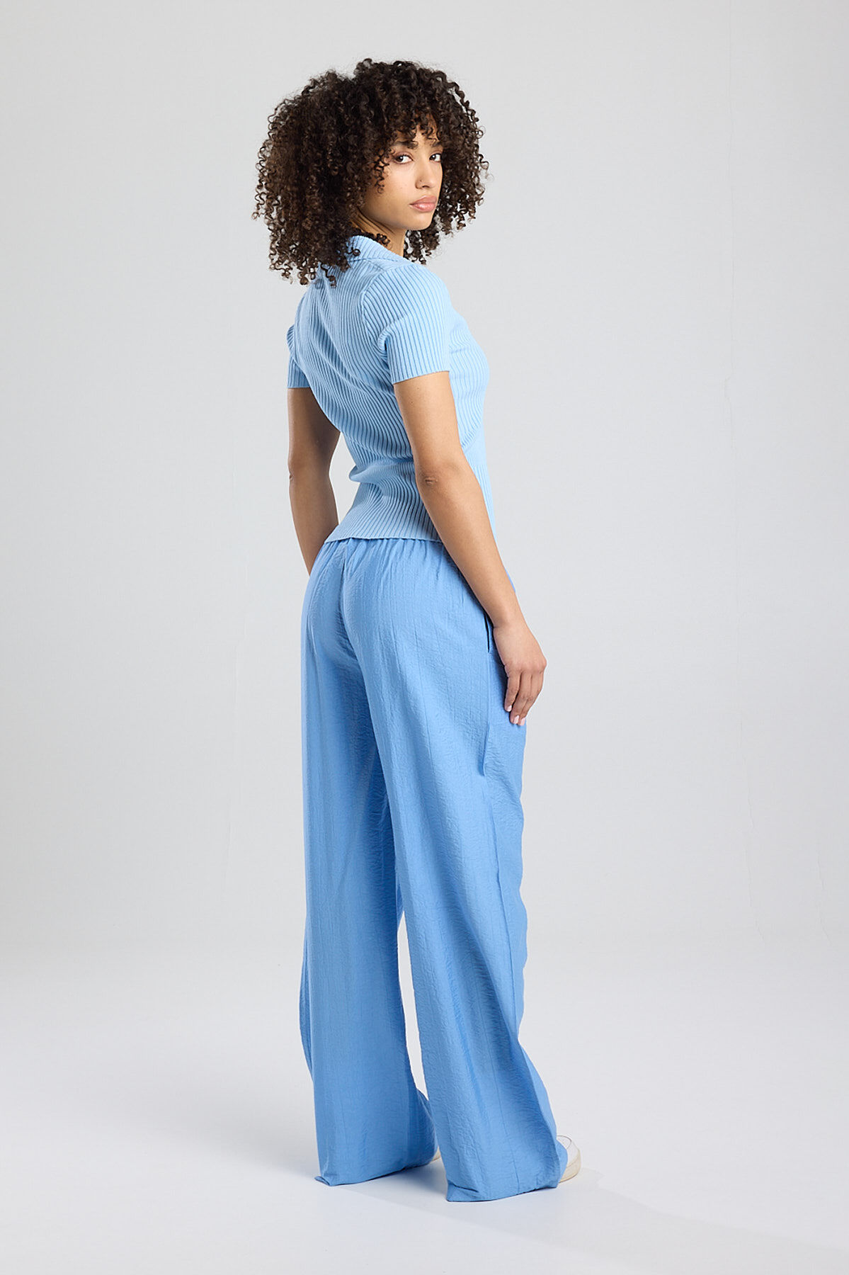 Phillis image number 1