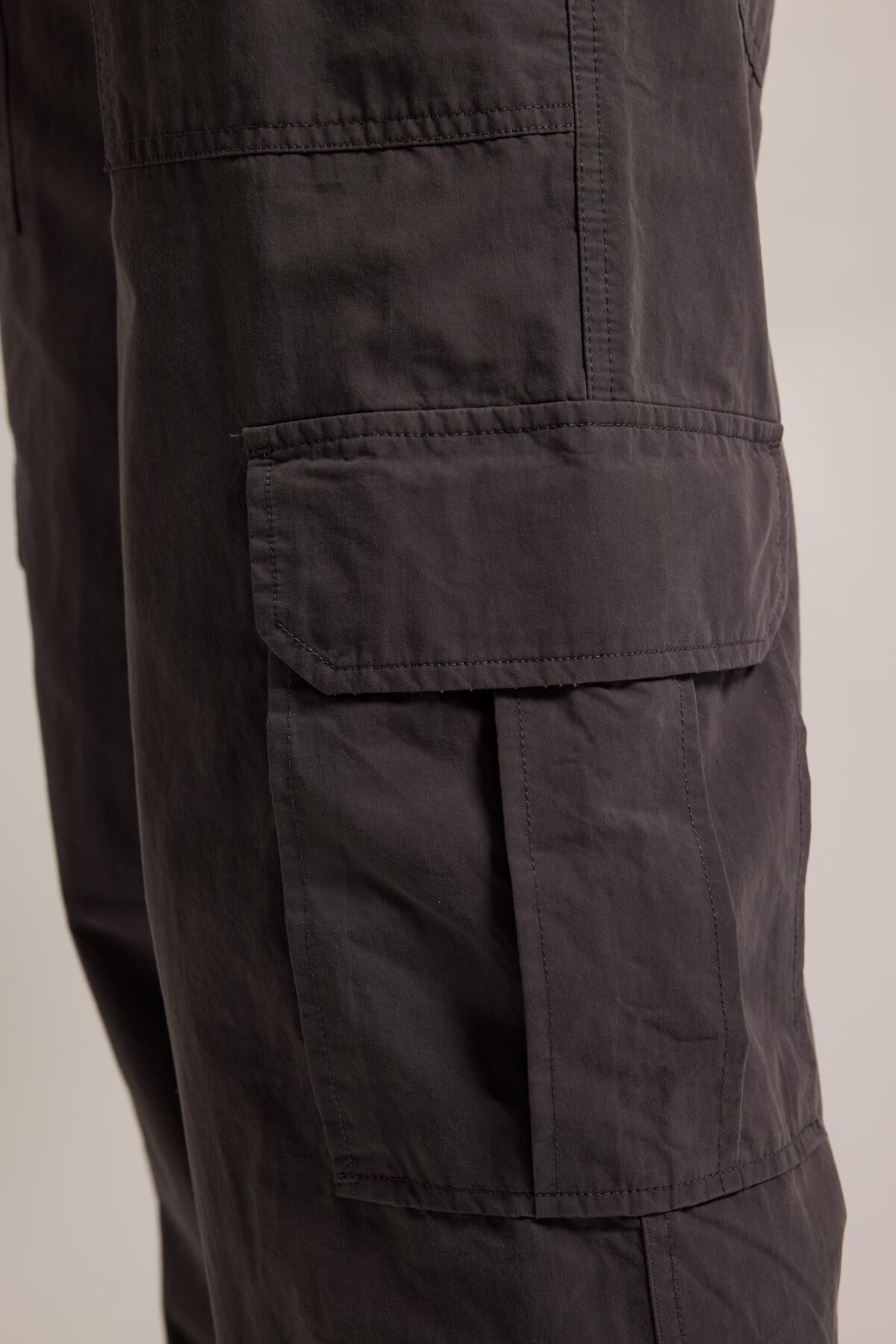 Polly image number 3