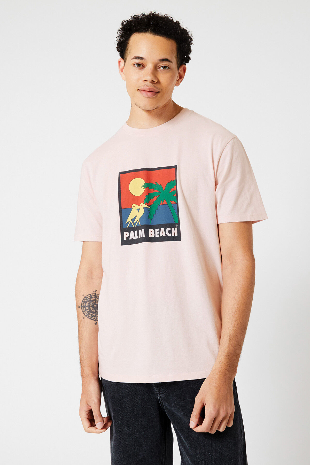 Eagle image number 1