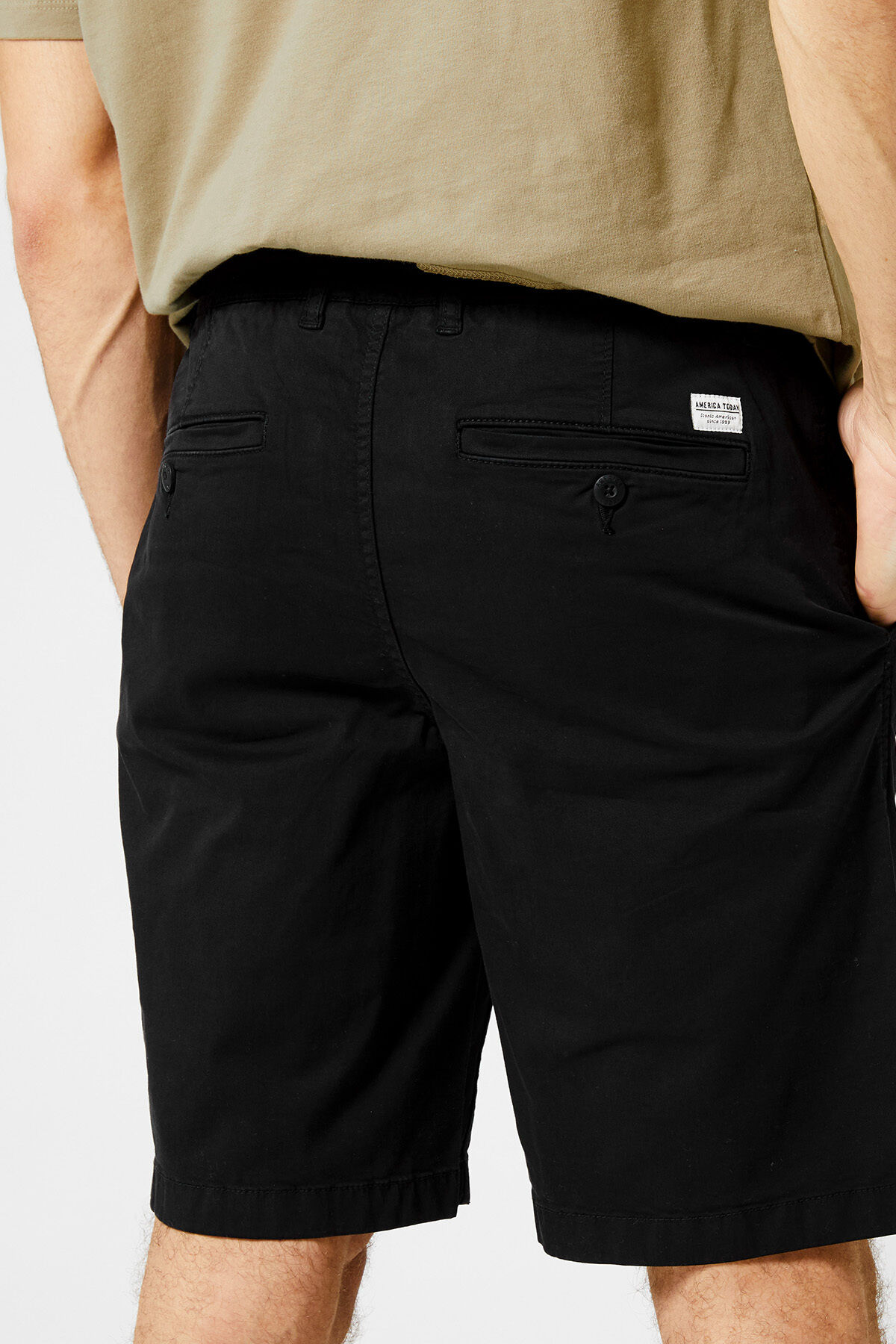 Short Stefan image number 3