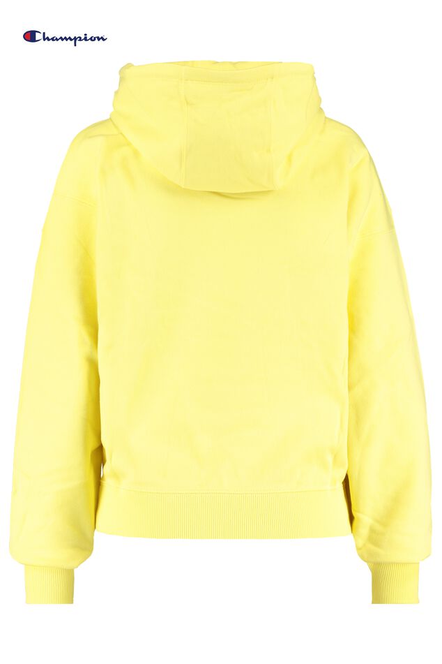 Hoodie Sweater Hooded Logo image number 1