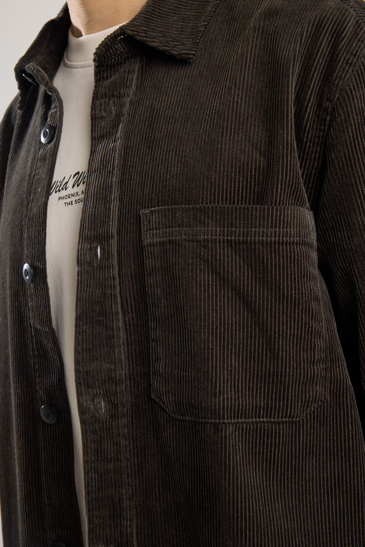 Shirt Hamilton image number 3