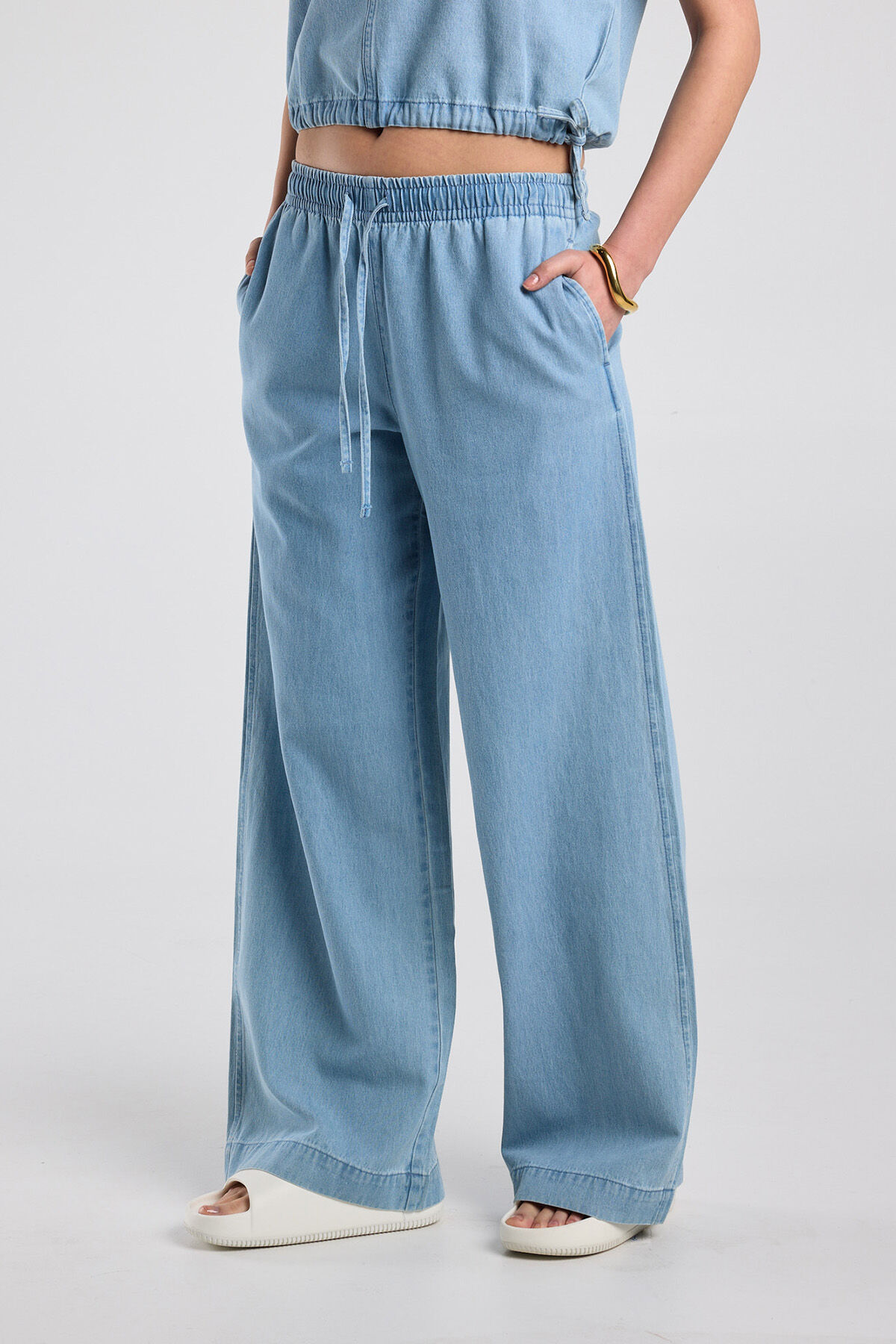 Primrose image number 0