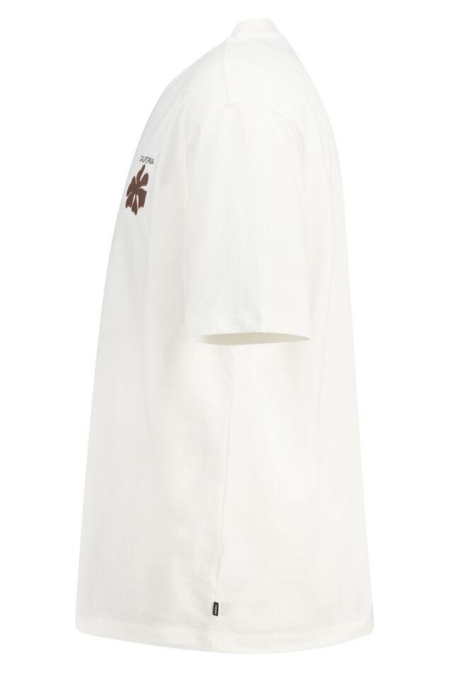 Erwyn image number 6