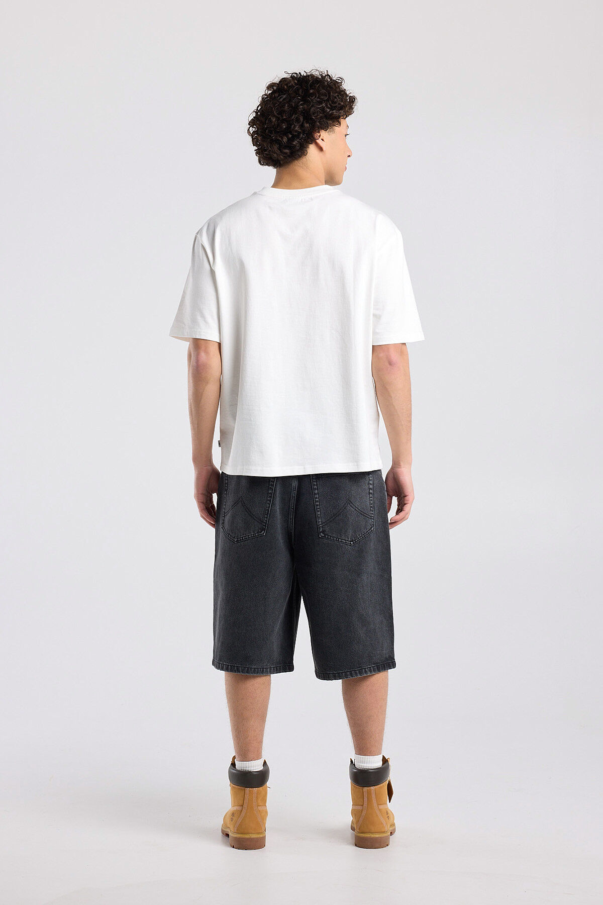 Nolan image number 2