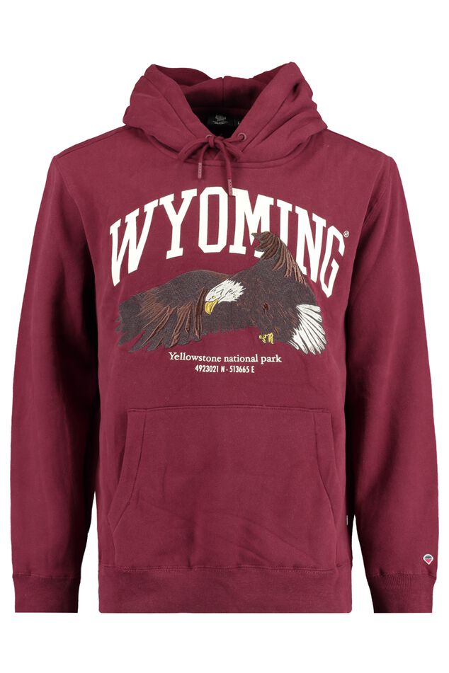 Hoodie Stone hood image number 4