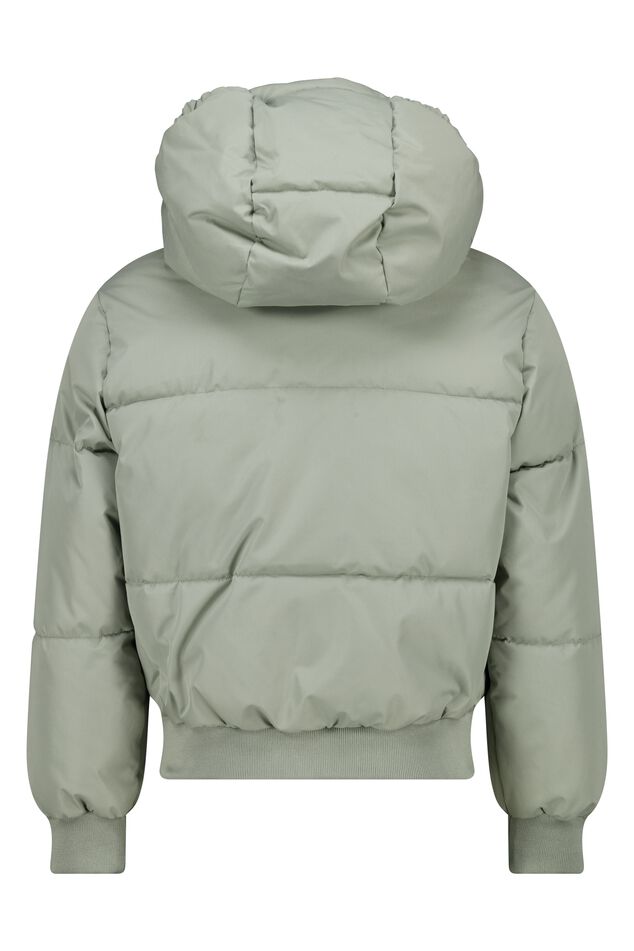 Jas Jolie JR image number 5