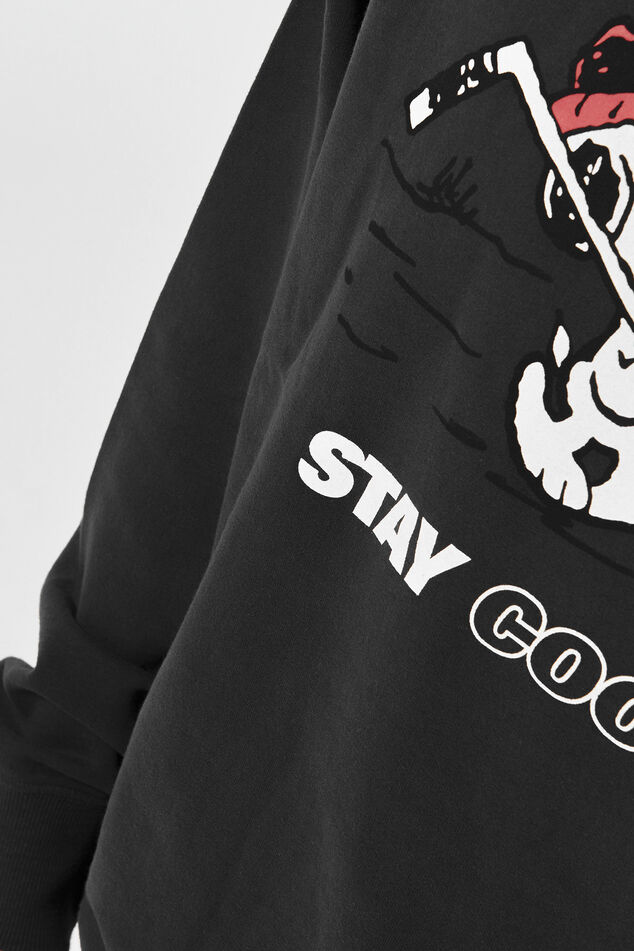 Sweat a capuche Shephard cool image number 3