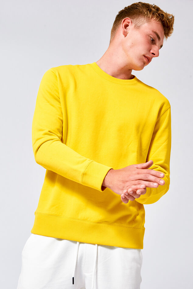 Sweater Sagar image number 0