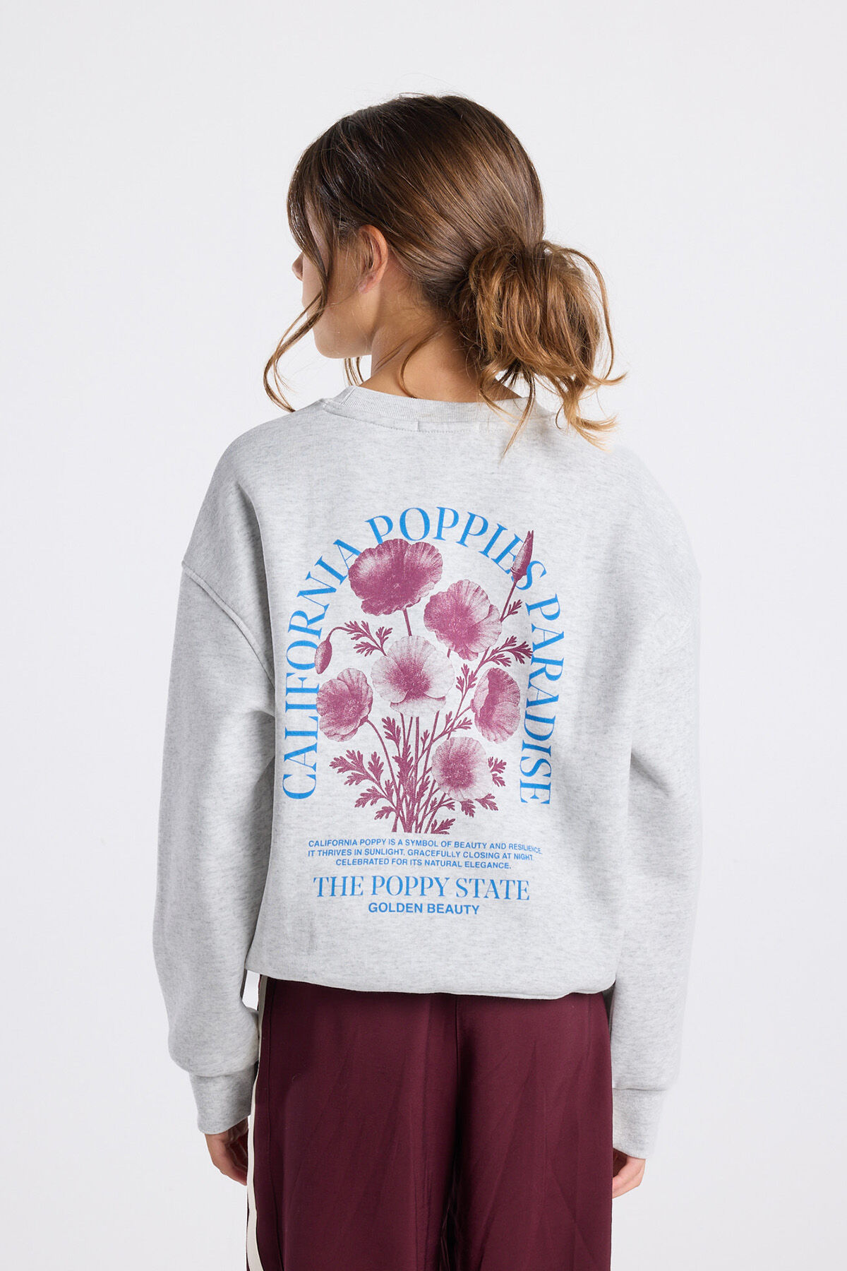 Sage jr image number 3