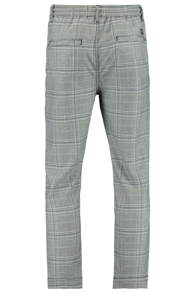 Chino Phyllon image number 2