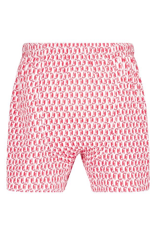 Boxershort Thomas P Utrecht image number 1