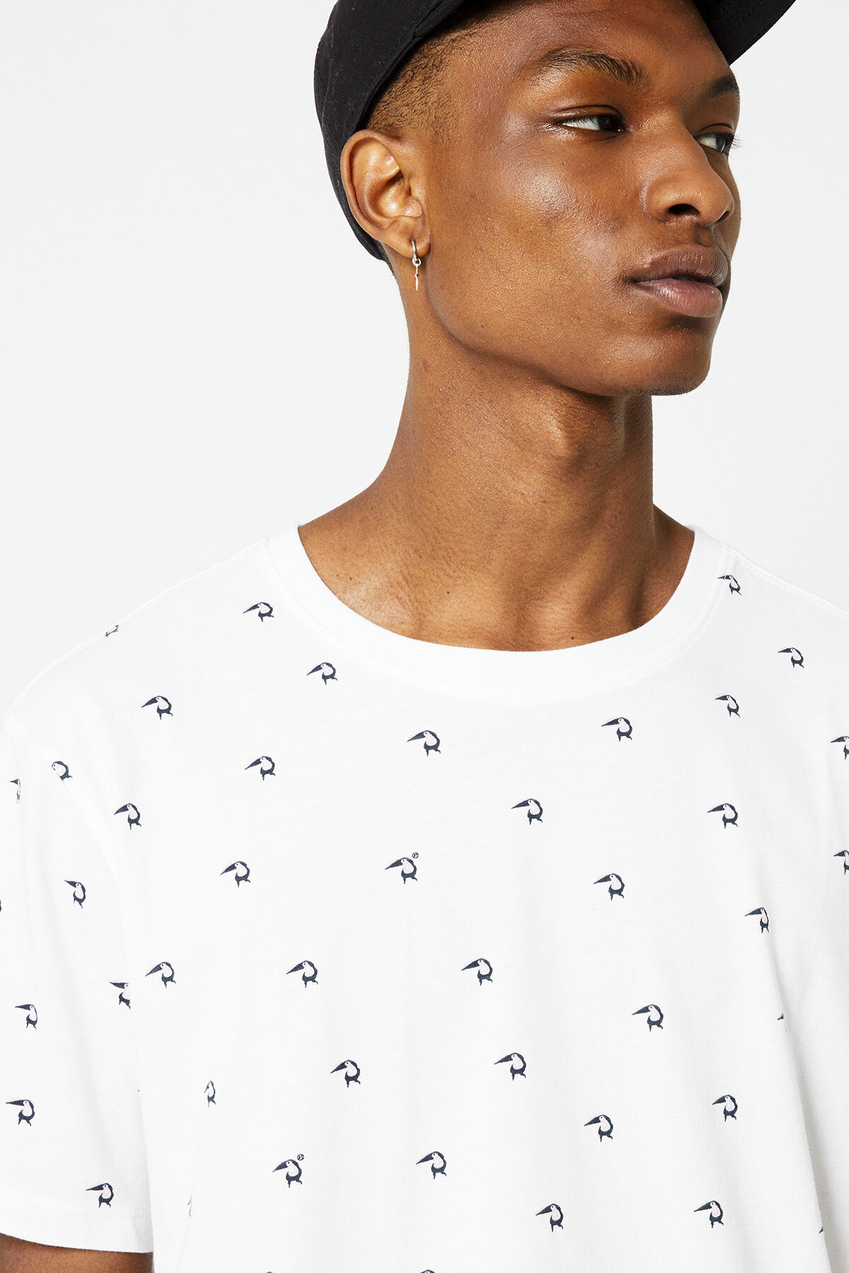 Elias Bird image number 3