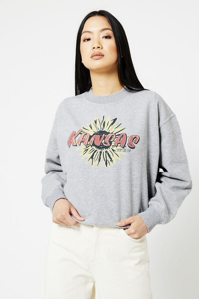 Sweater Cut and Sew Raglan Sweat image number 0