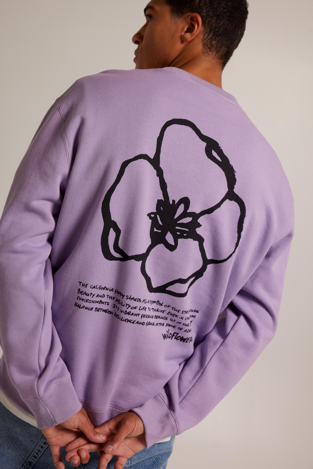 Sweater Stan Crew image number 3