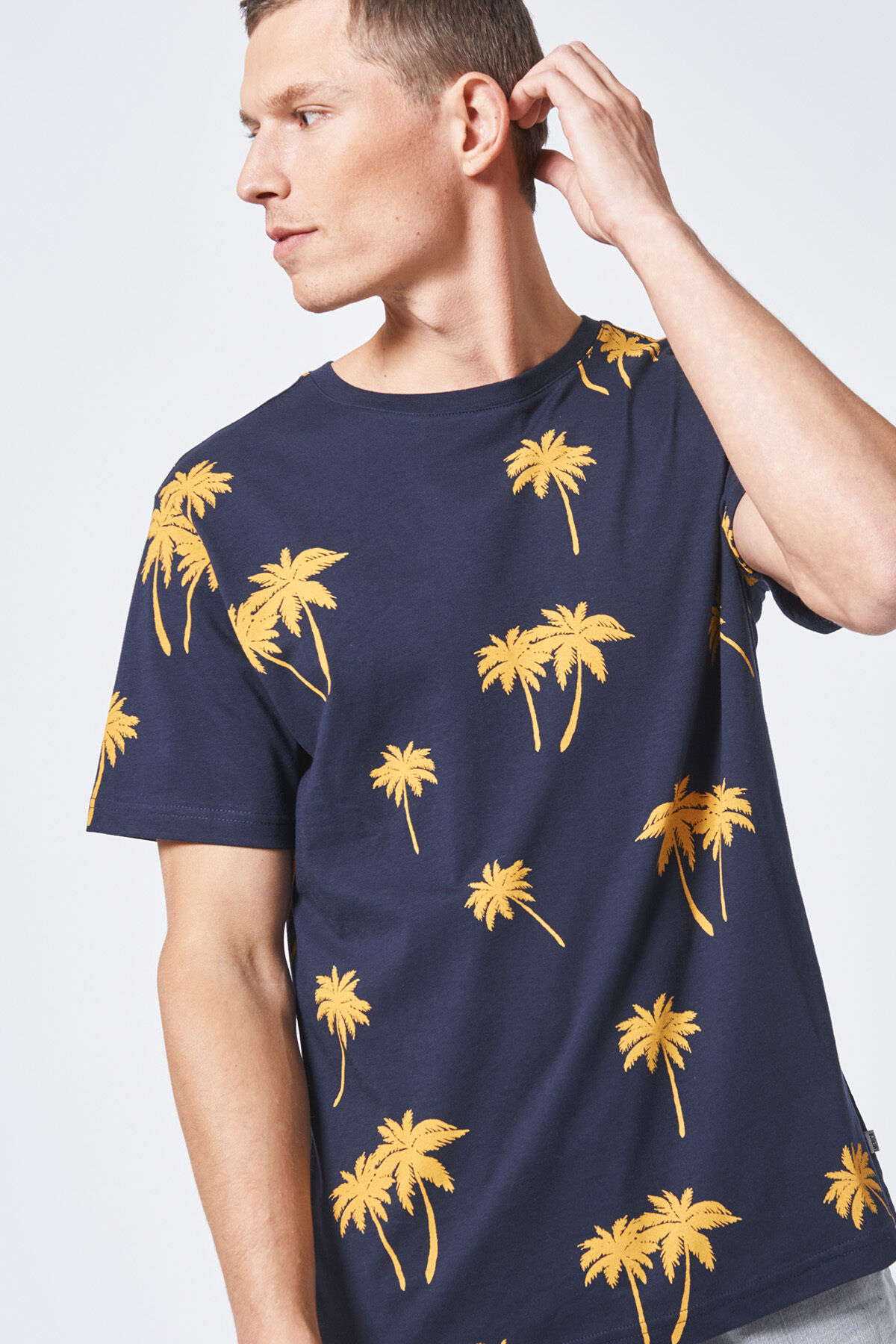 Emmanuel palm image number 0