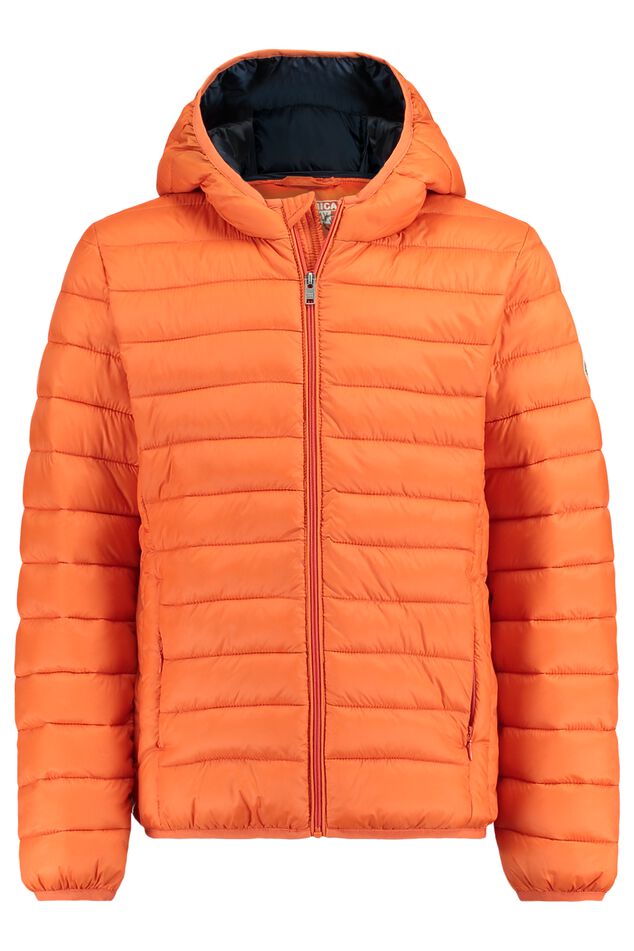 Jas Alex Jr image number 0