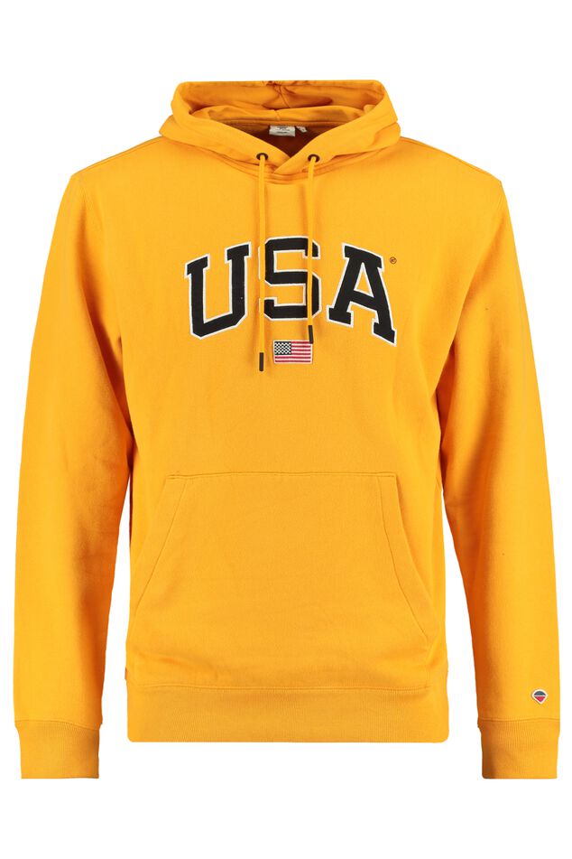 Hoodie Shane hood image number 0