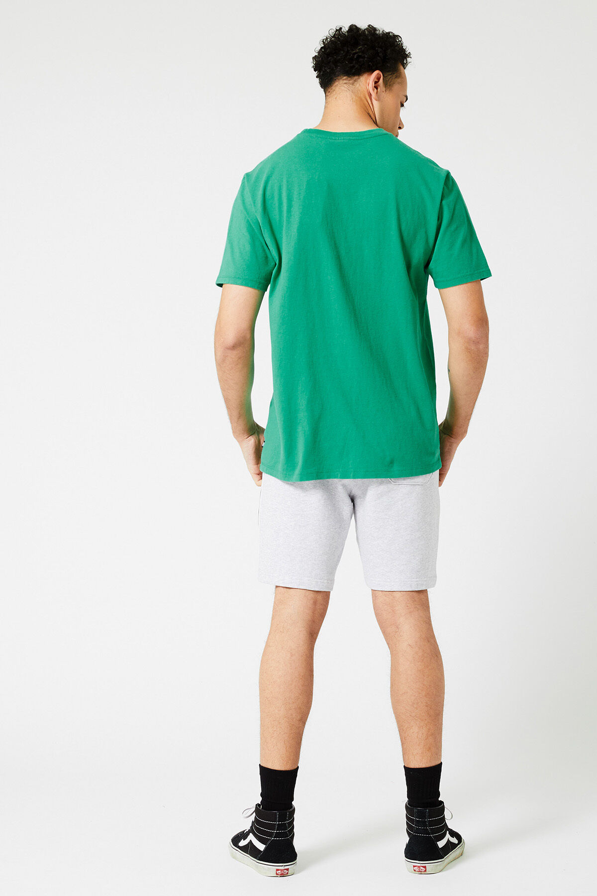 Eagle image number 2