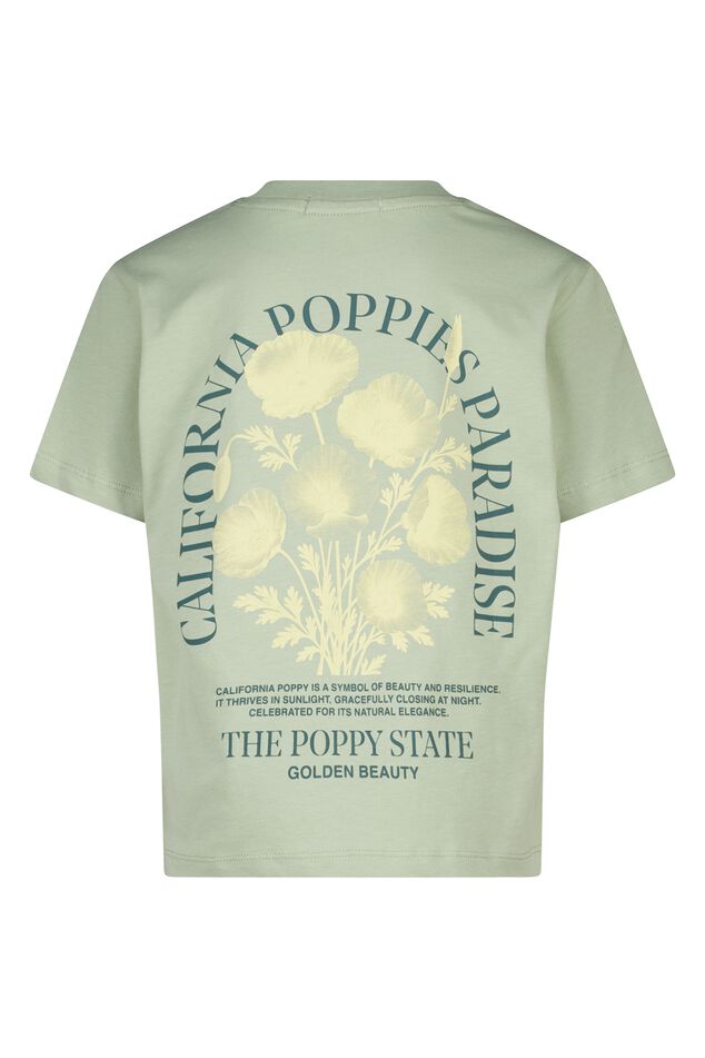 Elaine jr image number 5