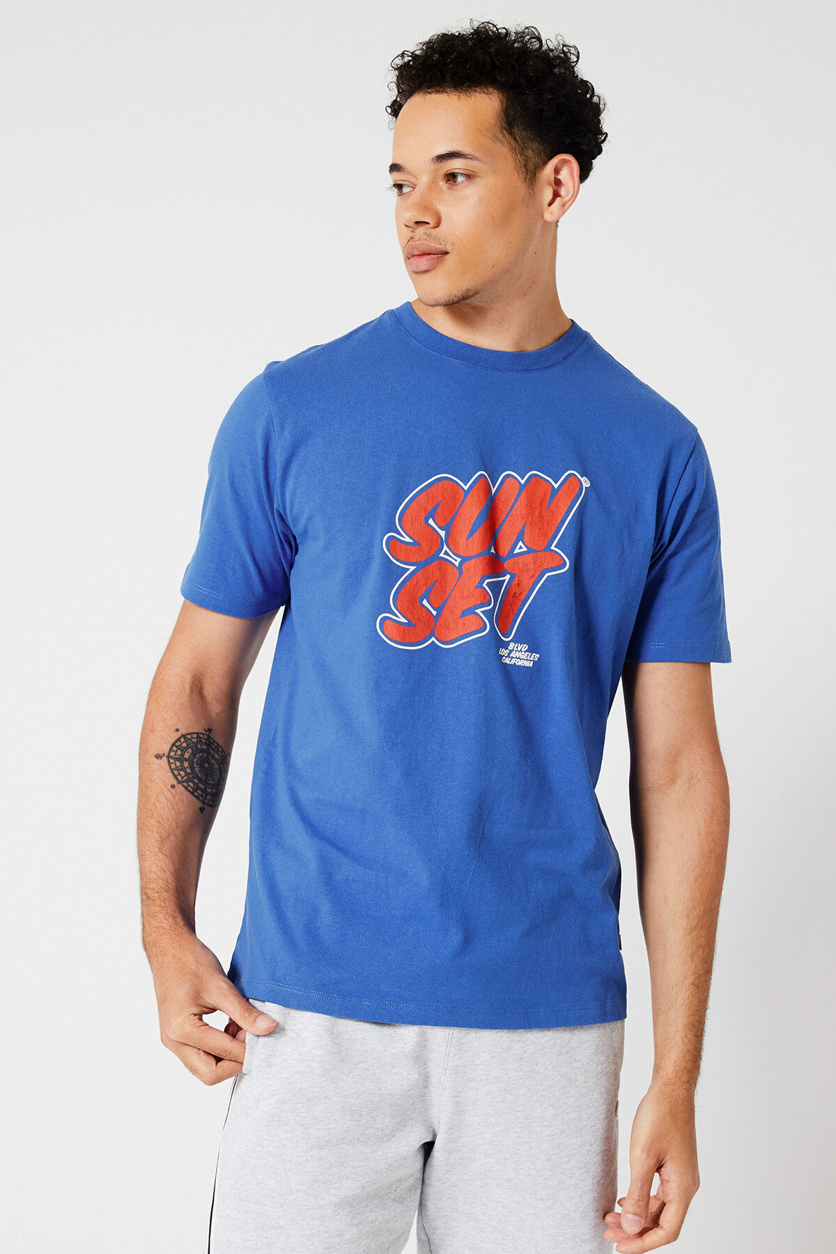 Eagle image number 0