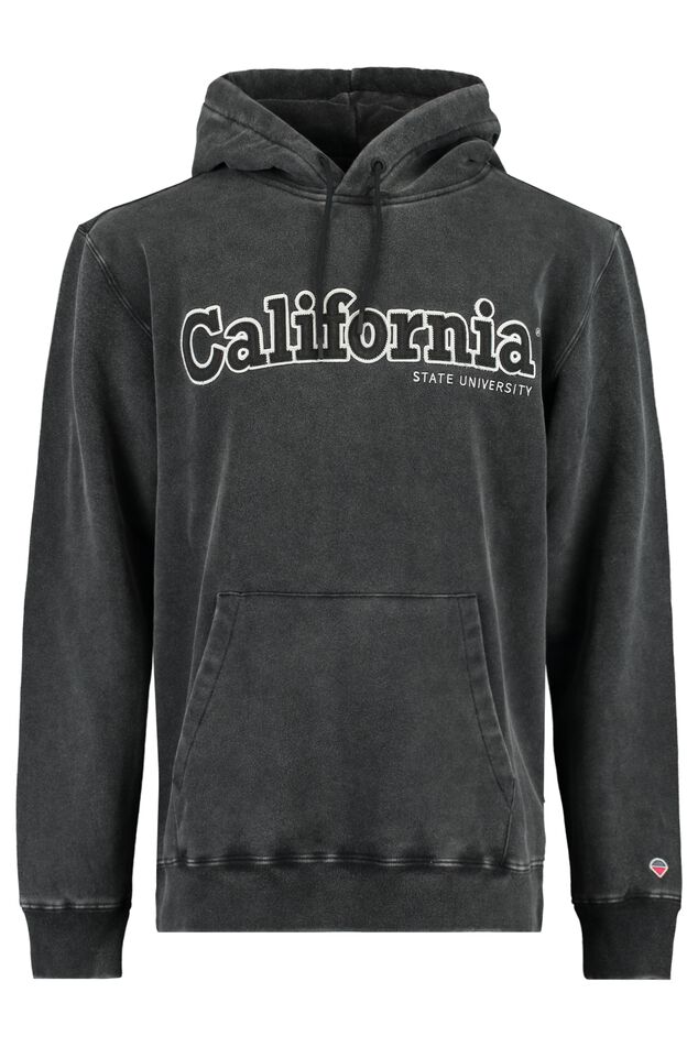 Sweat a capuche Sage hood California image number 4
