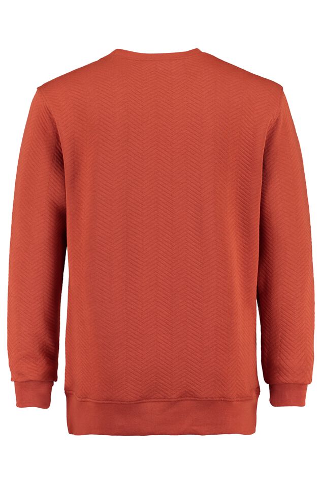 Sweater Saul image number 5