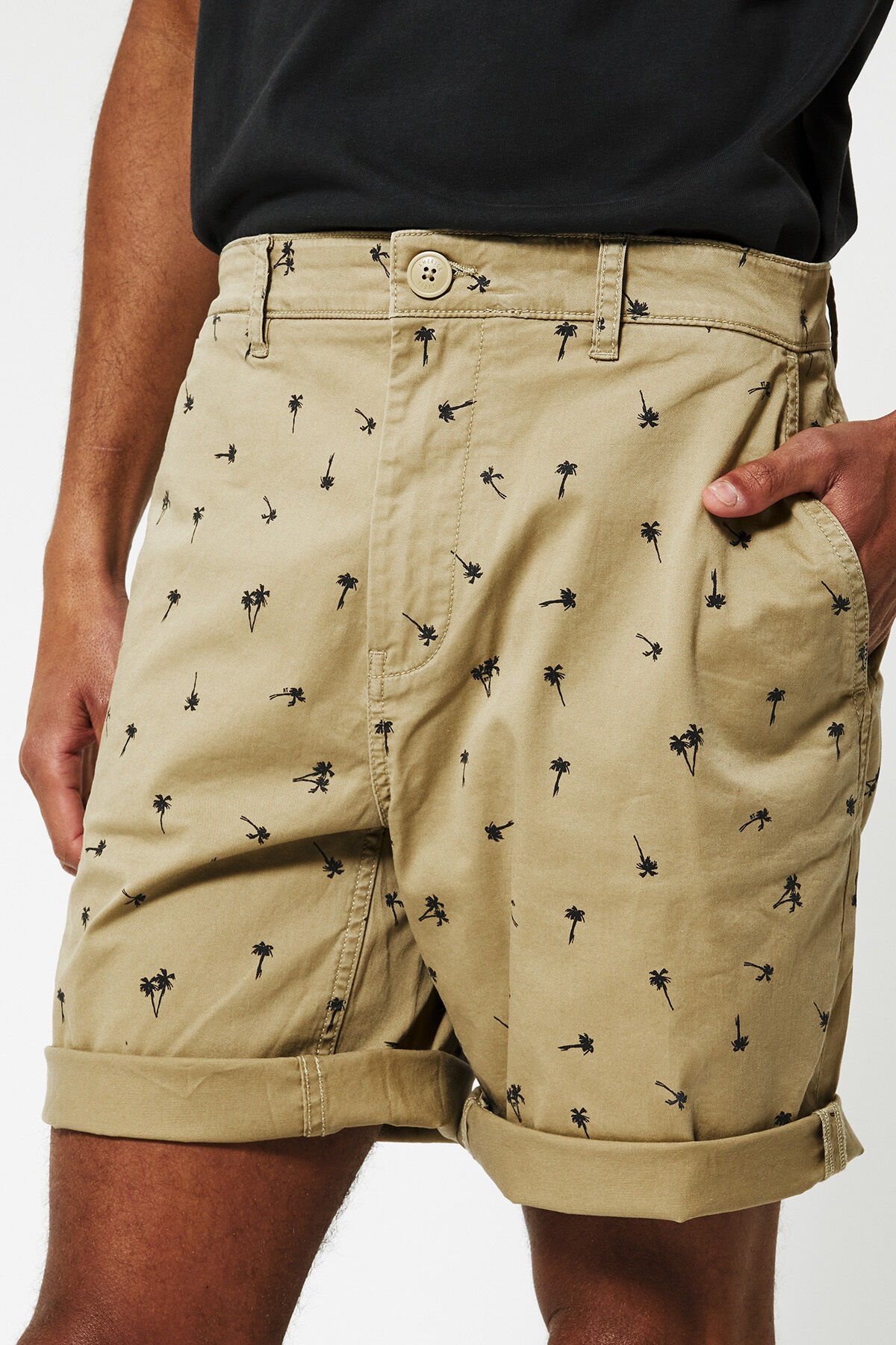 Short Stefan image number 3