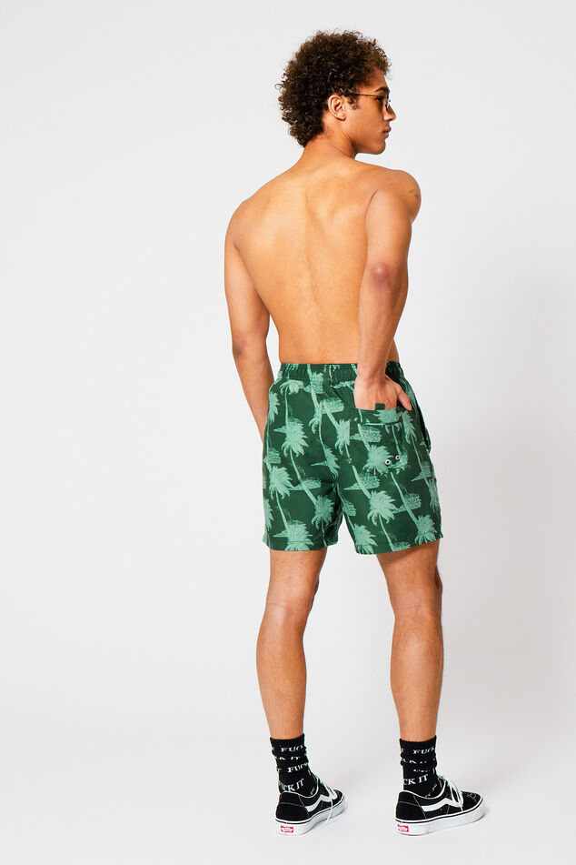 Swimming trunks Arizona AOP image number 2