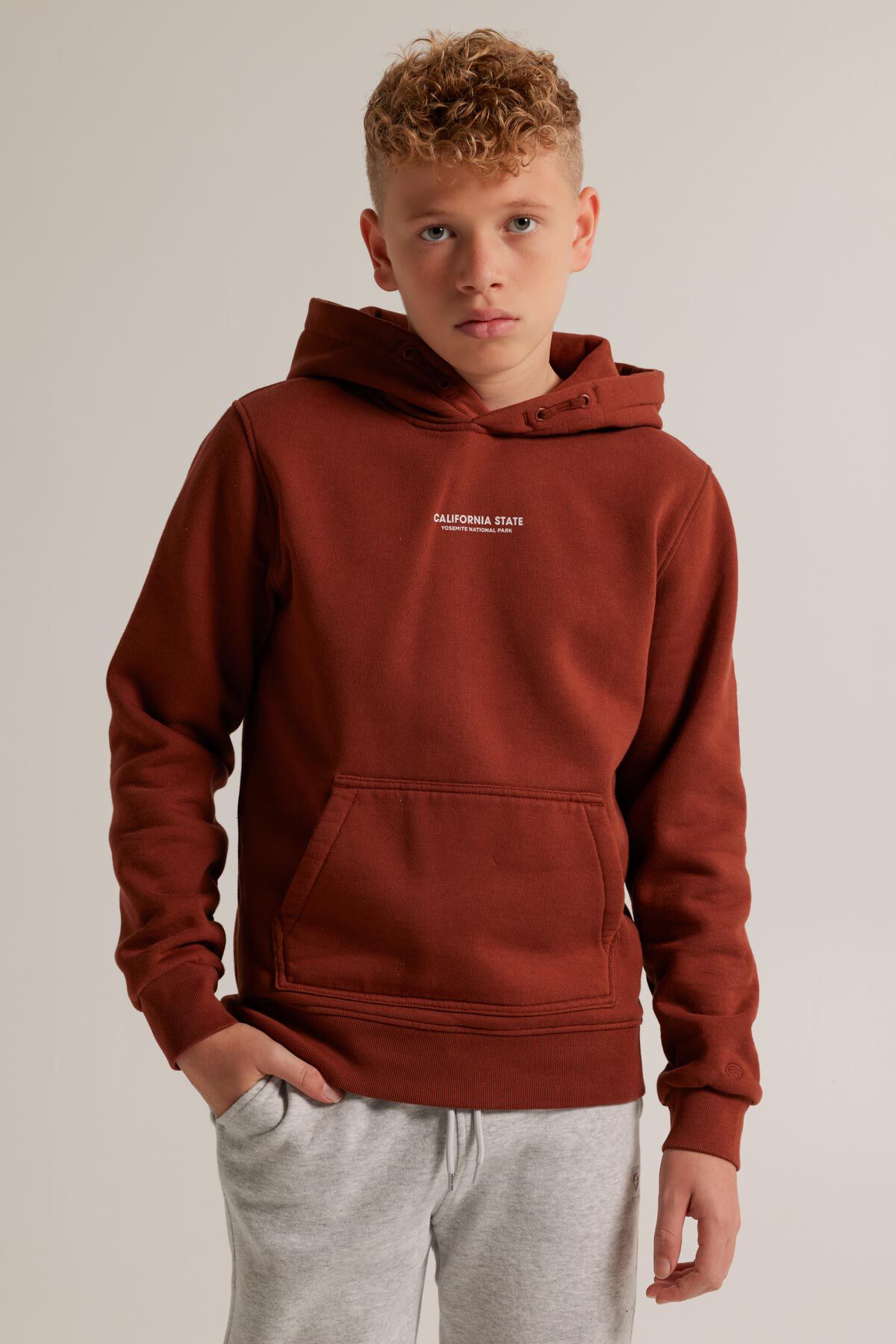 Brown boys hoodie outlet