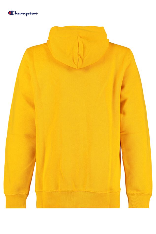 Hoodie Champion hoodie jr image number 1
