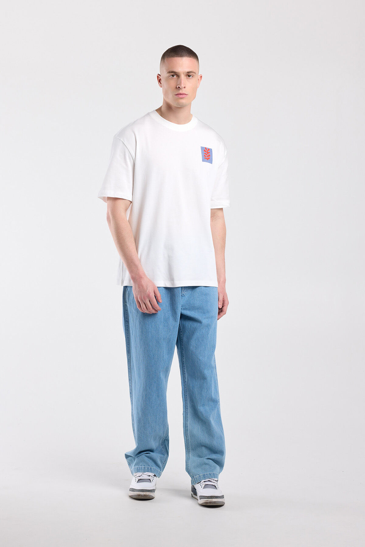 Eagle image number 1