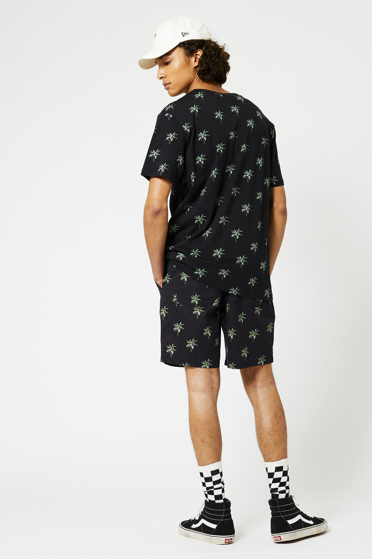 Elias Palm image number 2