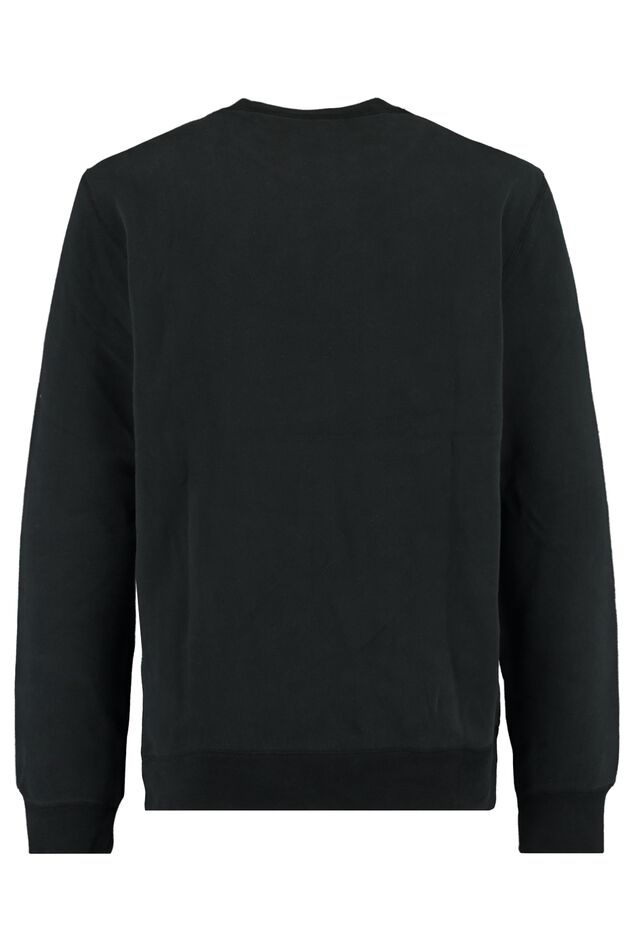 Sweater Sage Oregon image number 1