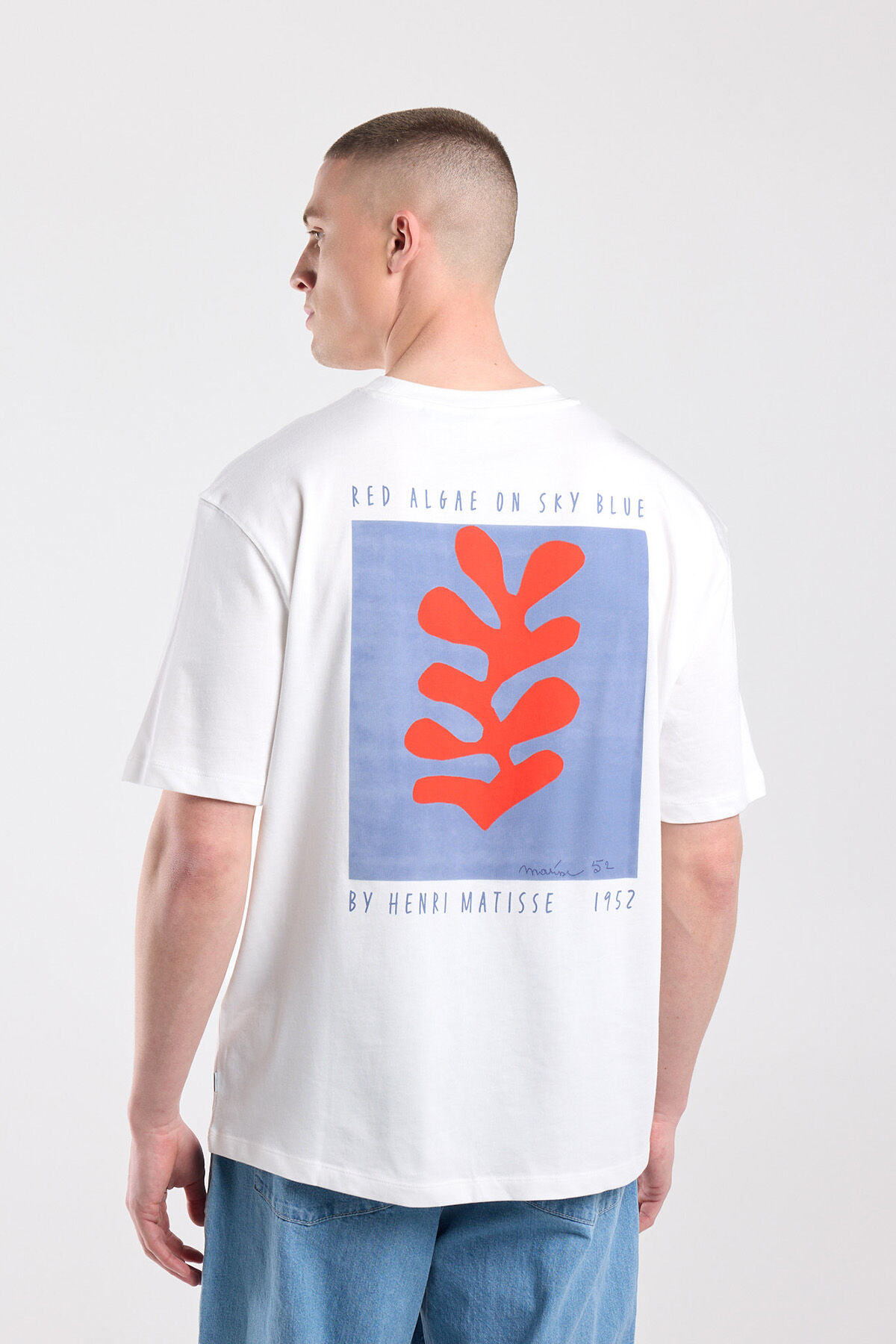 Eagle image number 3