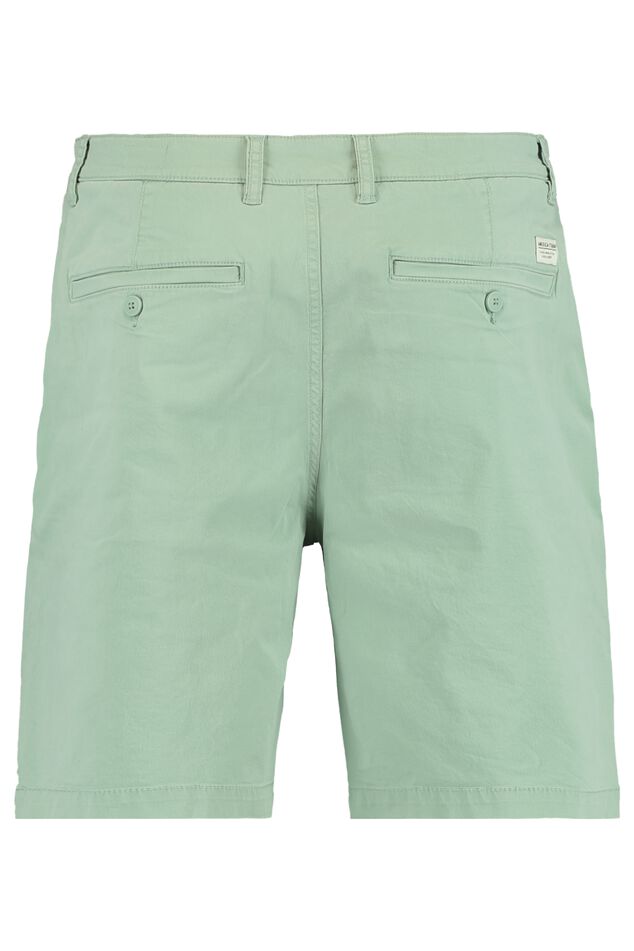 Short Stefan image number 1