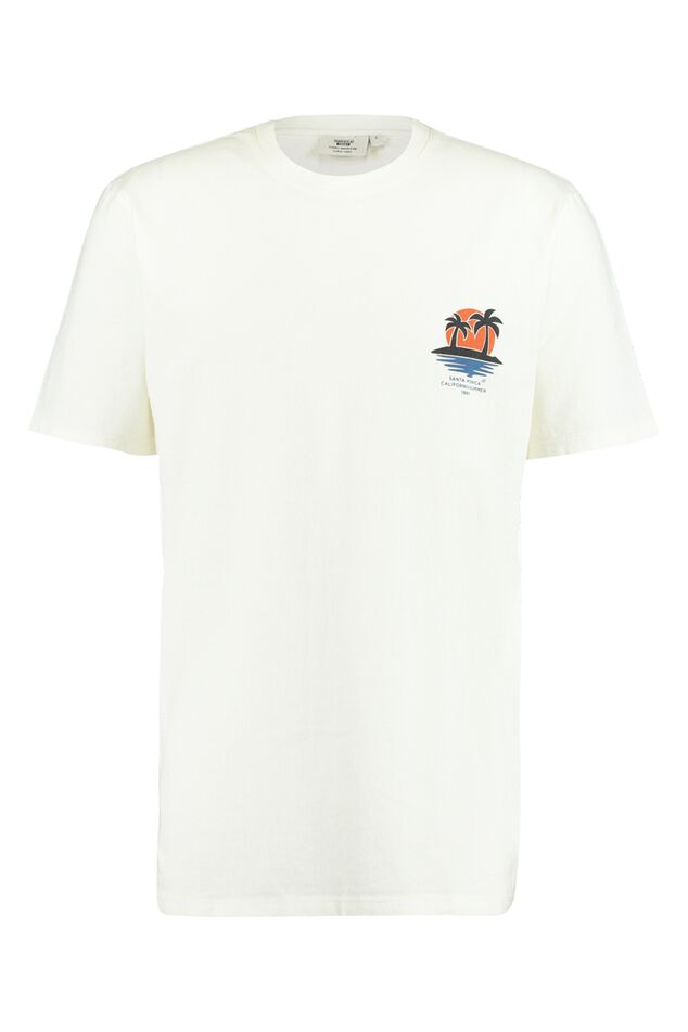 Eagle image number 4