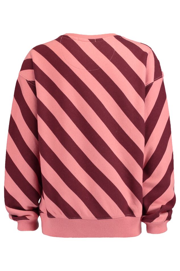 Sweater Steffi Jr. image number 1