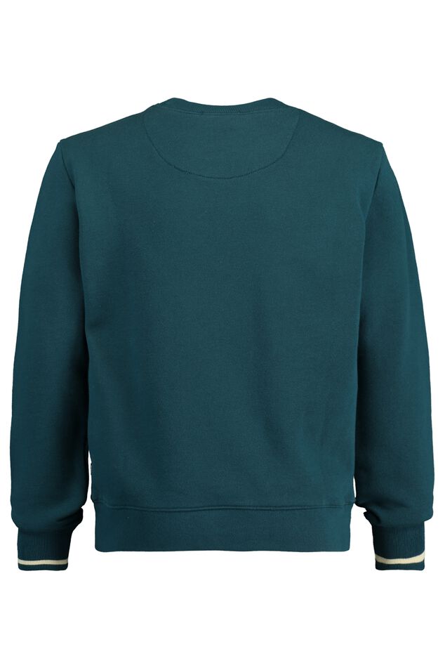Sweater Sainty jr image number 5
