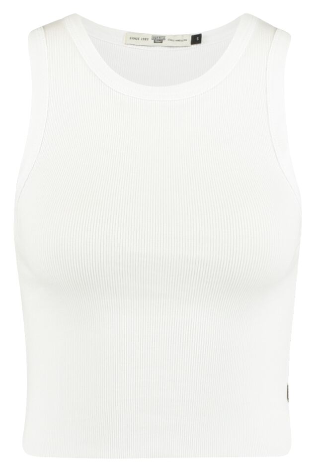 top Gina image number 3