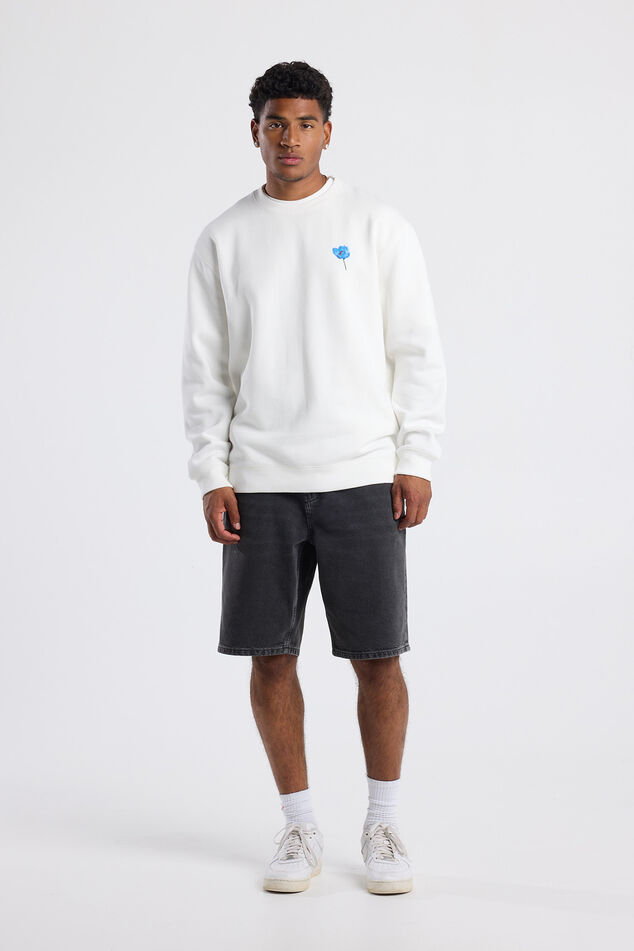 Sef Crew image number 1