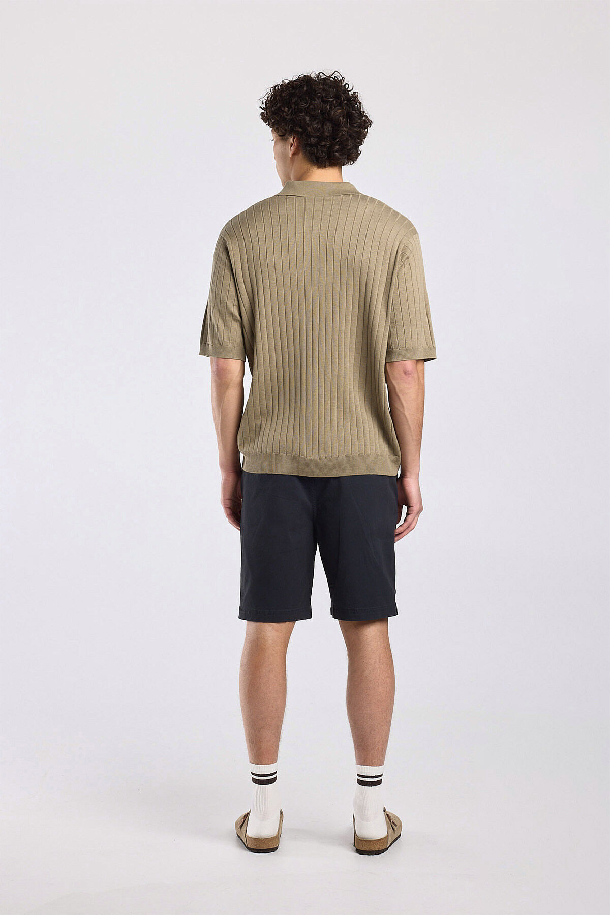 Nestor image number 2