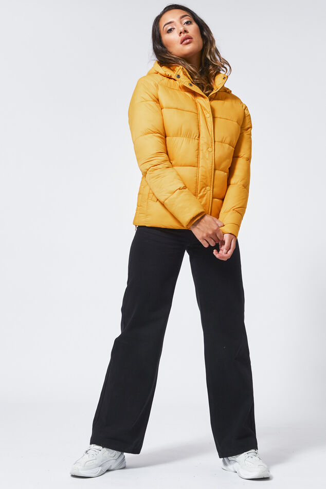 Jas Jill image number 1