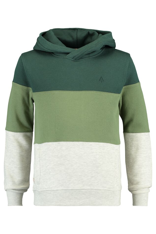 Hoodie Sean jr image number 4