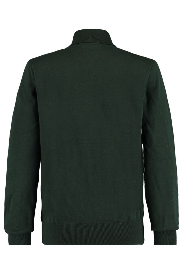 Rollkragenpullover Knox image number 1
